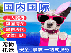 奔牛机场快递国际宠物托运 【国